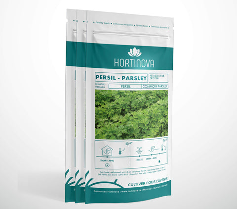 PERSIL - Semences de Persil à Pollinisation Libre