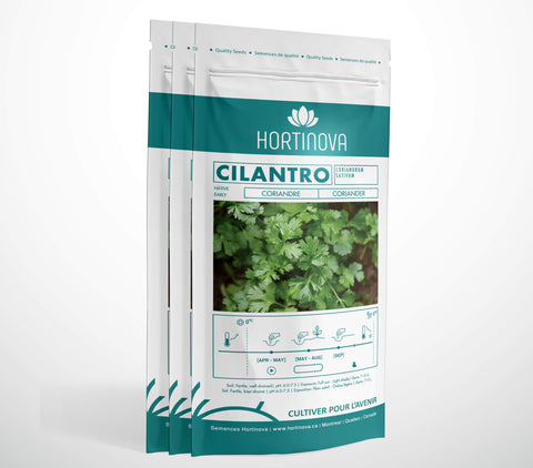 CILANTRO - Semences de Coriandre à Pollinisation Libre