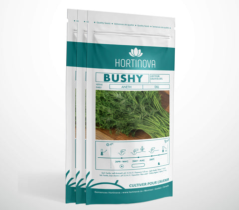 BUSHY - Semences d'Aneth à Pollinisation Libre