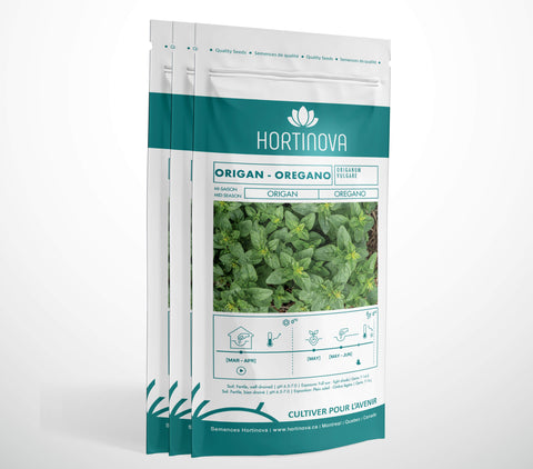 OREGANO - Semences d'Origan à Pollinisation Libre