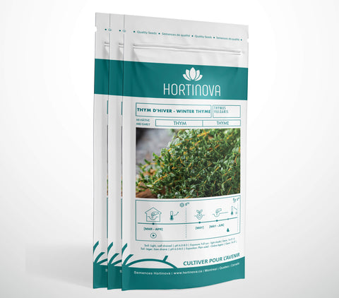 THYM - Semences de Thym d'Hiver à Pollinisation Libre