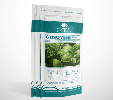 GENOVESE - Semences de Basilic à Pollinisation Libre
