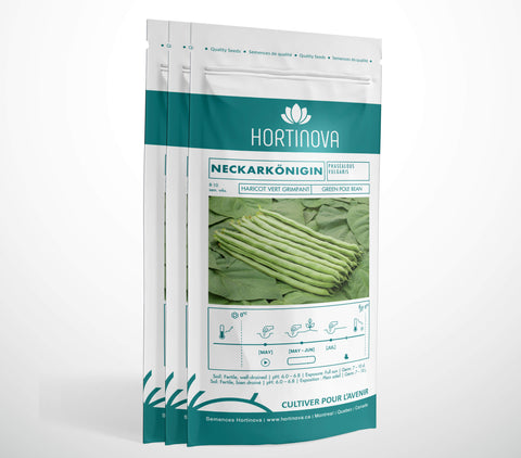 NECKARKÖNIGIN - Haricot Grimpant Vert