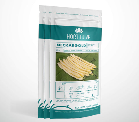 NECKARGOLD - Haricot Grimpant Jaune