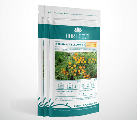 DONNA YELLOW F1  – Semences de Tomate pour Patio, Pots & Paniers Suspendus
