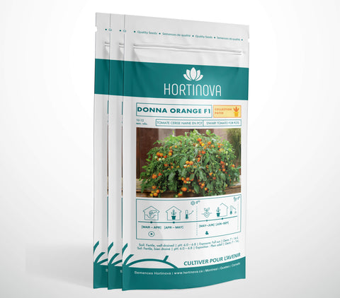 DONNA ORANGE F1 – Semences de Tomate pour Patio, Pots & Paniers Suspendus