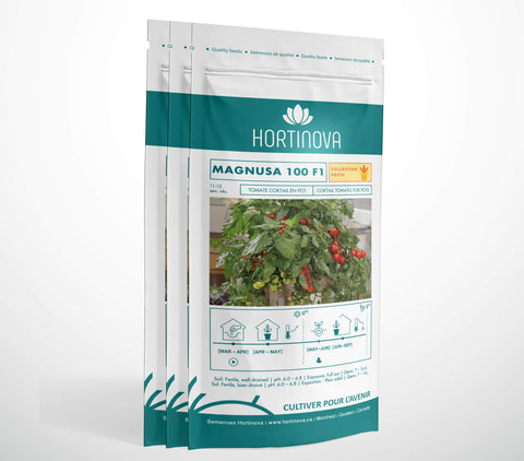 MAGNUSA 100 F1 – Semences de Tomate pour Patio, Pots & Paniers Suspendus