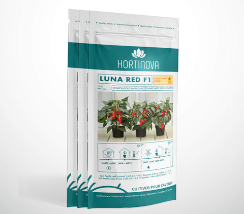 LUNA RED F1 - Semences de Poivron Compact pour Balcon, Terrasse et Pots 