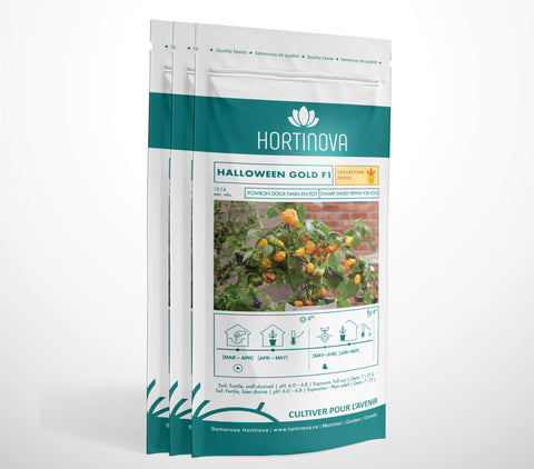 HALLOWEEN GOLD F1 - Semences de Poivron Compact pour Balcon, Terrasse et Pots 