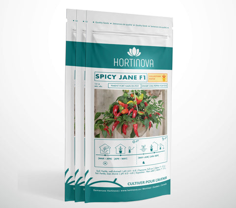 SPICY JANE F1 - Semences de Piment Fort Compact pour Balcon, Terrasse et Pots 