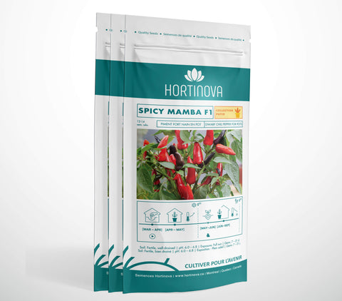 SPICY MAMBA F1 - Semences de Piment Fort Compact pour Balcon, Terrasse et Pots 