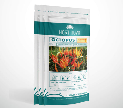OCTOPUS – Semences de Piment Compact, Ornemental et Piquant pour Pots, Balcons et Jardins