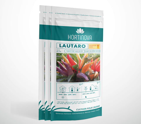 LAUTARO – Semences de Piment Compact, Ornemental pour Pots, Balcons et Jardins