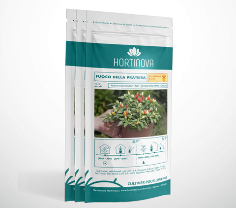 FUOCO DELLA PRATERIA – Semences de Piment Compact, Ornemental et Piquant pour Pots, Balcons et Jardins