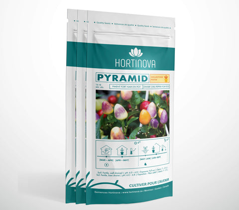 PYRAMID – Semences de Piment Compact, Ornemental et Piquant pour Pots, Balcons et Jardins