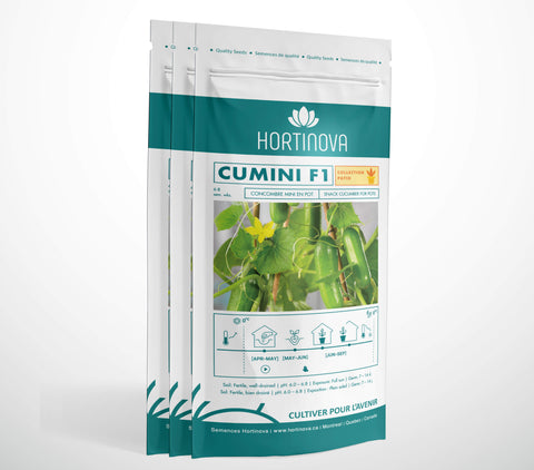 CUMINI F1 – Semences de Concombre Snack Compact pour Pots, Conteneurs & Treillis
