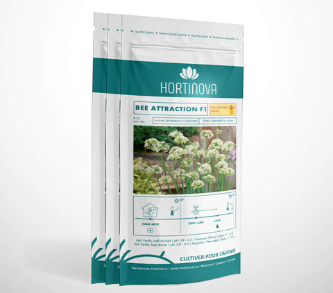 ALLIUM BEE ATTRACTION F1 - Allium ornemental, fleurs blanche comestibles et attractif pour les pollinisateurs