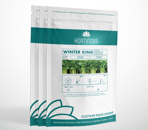 WINTER KING - Open Pollinated Celery Seeds