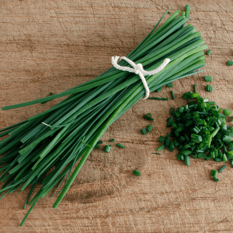 CHIVE - Open Pollinated Chives Seeds