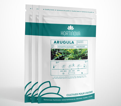 ARUGULA - Semences de Roquette Sauvage à Pollinisation Libre
