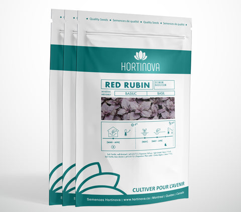 RED RUBIN - Open Pollinated Basil Seeds