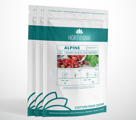 ALPINE - Semences de Fraises à Pollinisation Libre