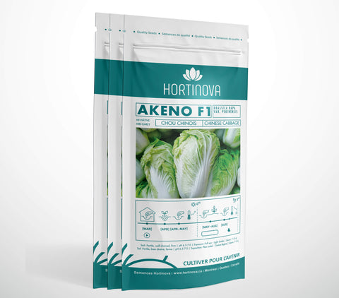 AKENO F1 - Semences de Chou Nappa Hybride