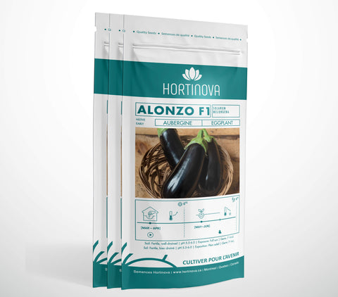 ALONZO F1 - Semences d'Aubergines Hybrides