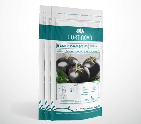 BLACK BAMBY F1 - Semences de Tomates Cerises Hybrides