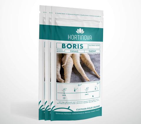 BORIS - Semences de Panais à Pollinisation Libre
