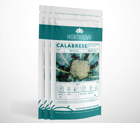 CALABRESE - Semences de Brocoli à Pollinisation Libre