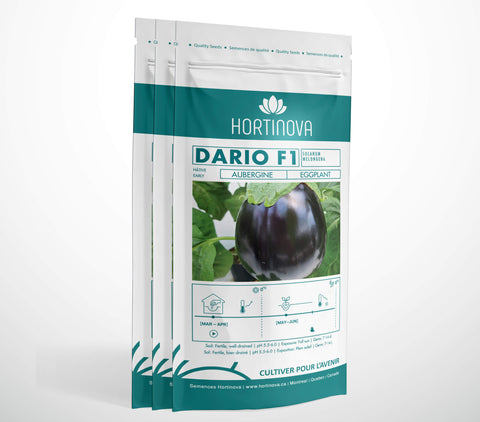 DARIO F1 - Semences d'Aubergines Hybrides