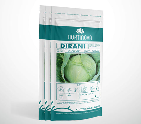 DIRANI - Semences de Chou Blanc à Pollinisation Libre