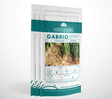 GABRIO - Semences de Céleri-rave à Pollinisation Libre