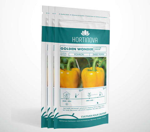 GOLDEN WONDER - Semence de Poivron à Pollinisation Libre