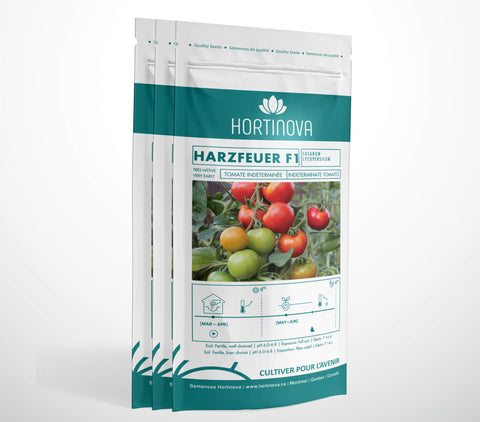 HARZFEUER F1 - Semences de Tomate Ronde Hybride