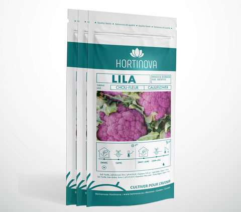 LILA - Semences de Chou-fleur Mauve à Pollinisation Libre