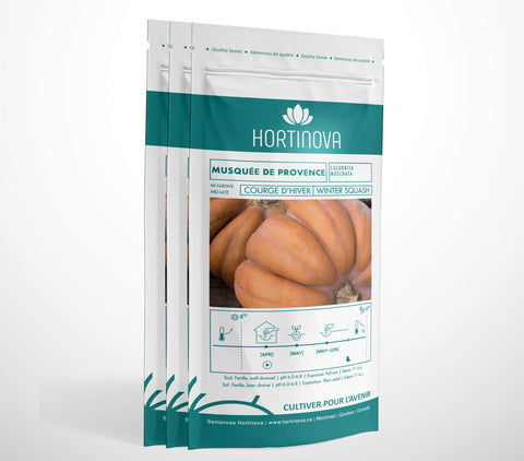 MUSQUE DE PROVENCE - Semences de Courge d'Hiver à Pollinisation Libre