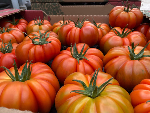 CATALINA F1 (Red Marmande)