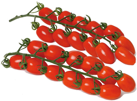 CHERRY TOMATO