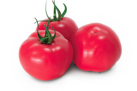 BEEFSTEAK TOMATO