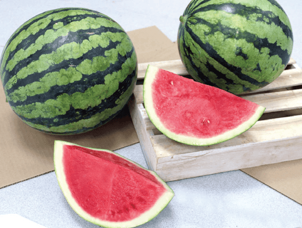 NOVA 918 (Tiger Striped Watermelon)