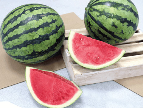 NOVA 918 (Tiger Striped Watermelon)