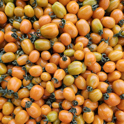 ORINGA F1 - Hybrid Cherry Tomato Seeds