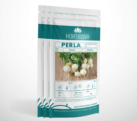 PERLA - Semences Ancestrale de Radis Blanc à Pollinisation Libre