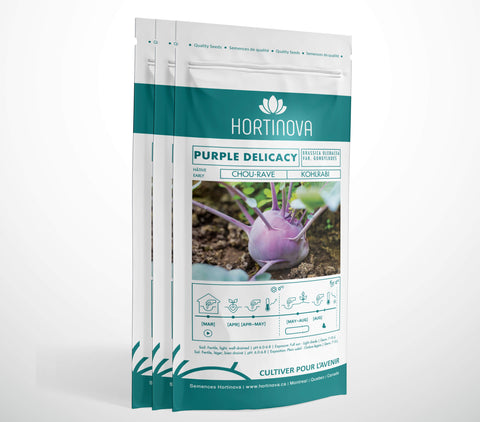 PURPLE DELICACY - Semences de Chou-rave à Pollinisation Libre