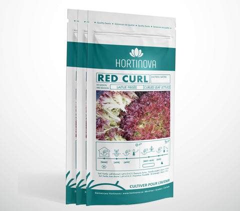 RED CURL - Semences de Laitue Frisée à Pollinisation Libre