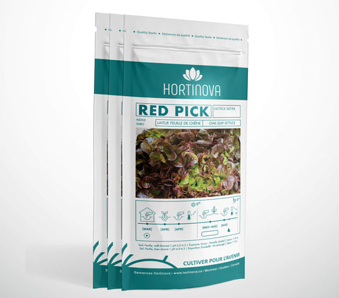 RED PICK - Semences de Laitue Feuille de Chêne à Pollinisation Libre