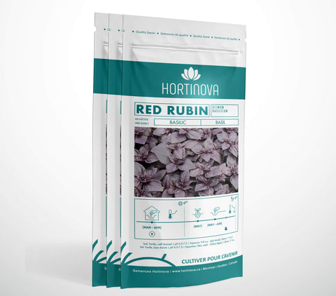 RED RUBIN - Semences de Basilic à Pollinisation Libre