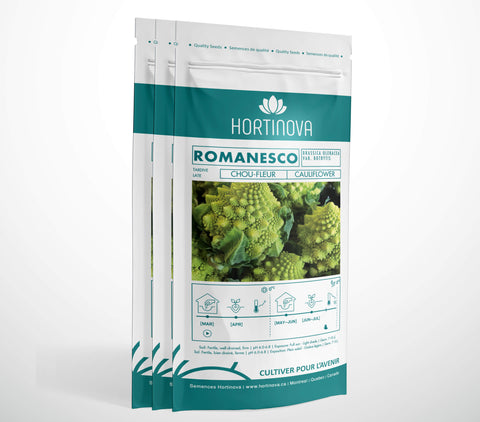 ROMANESCO - Semences de Chou-fleur Romanesco à Pollinisation Libre